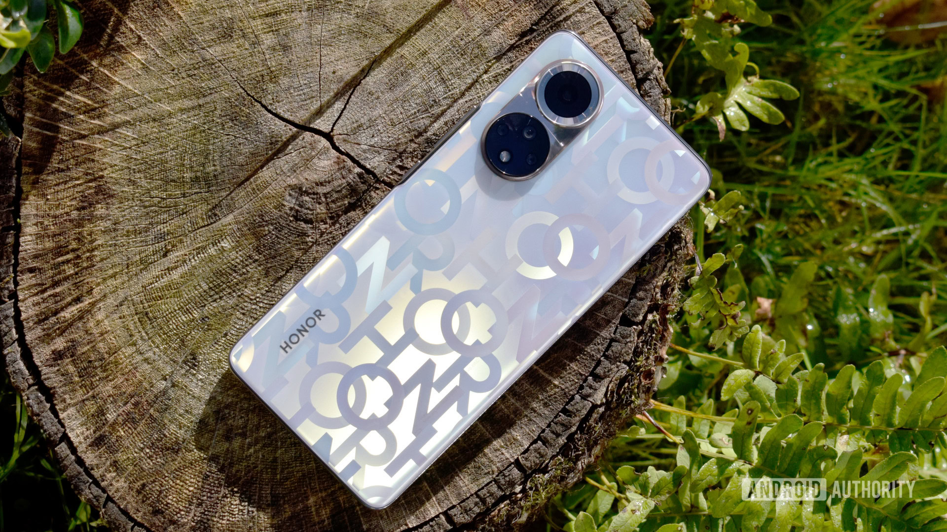 HONOR 50 back lying on tree stump