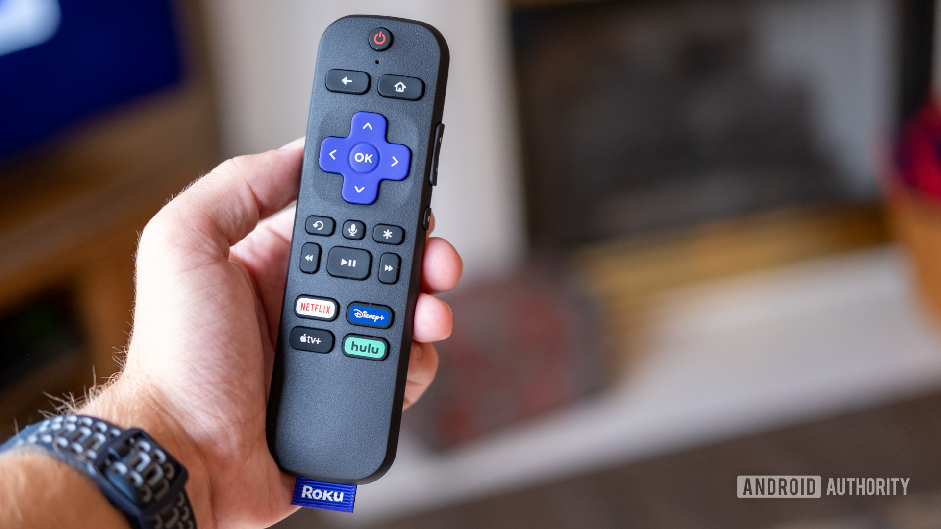 A Roku remote in hand