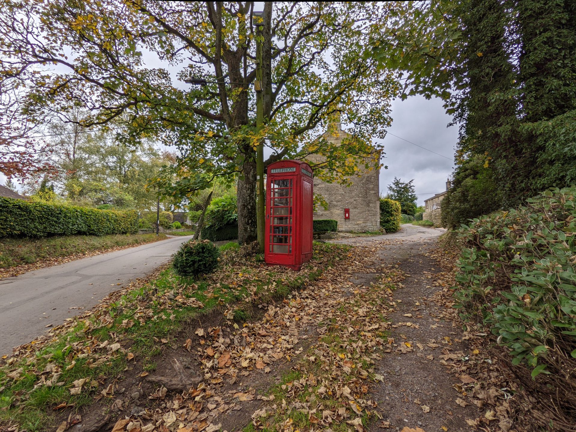 Wide-angle camera sample of red telephone box on a leafy street shot with Google Pixel 5