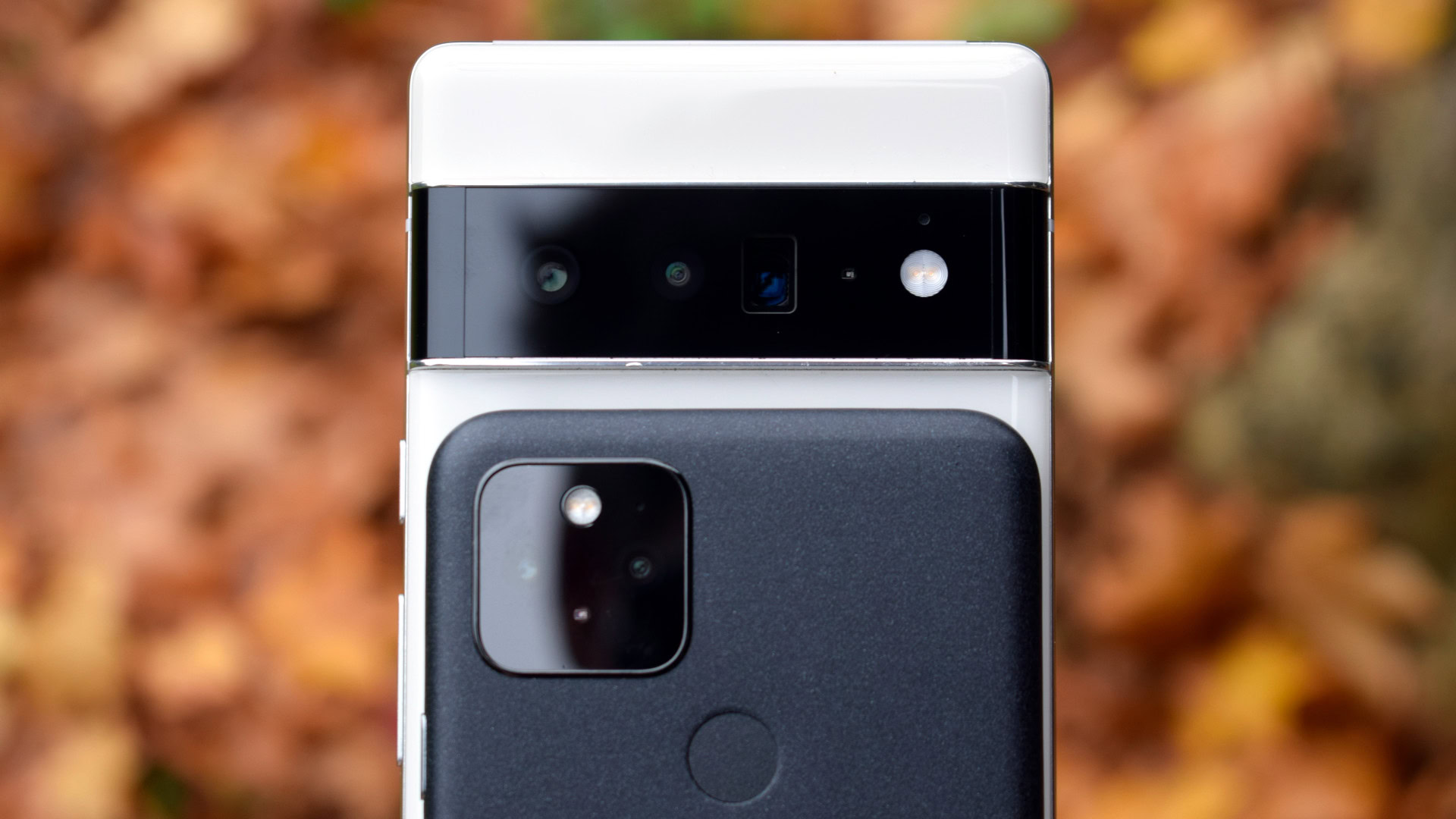 linned Effektivt ambition Google Pixel 6 Pro vs Pixel 5 camera test: How much better is it really?