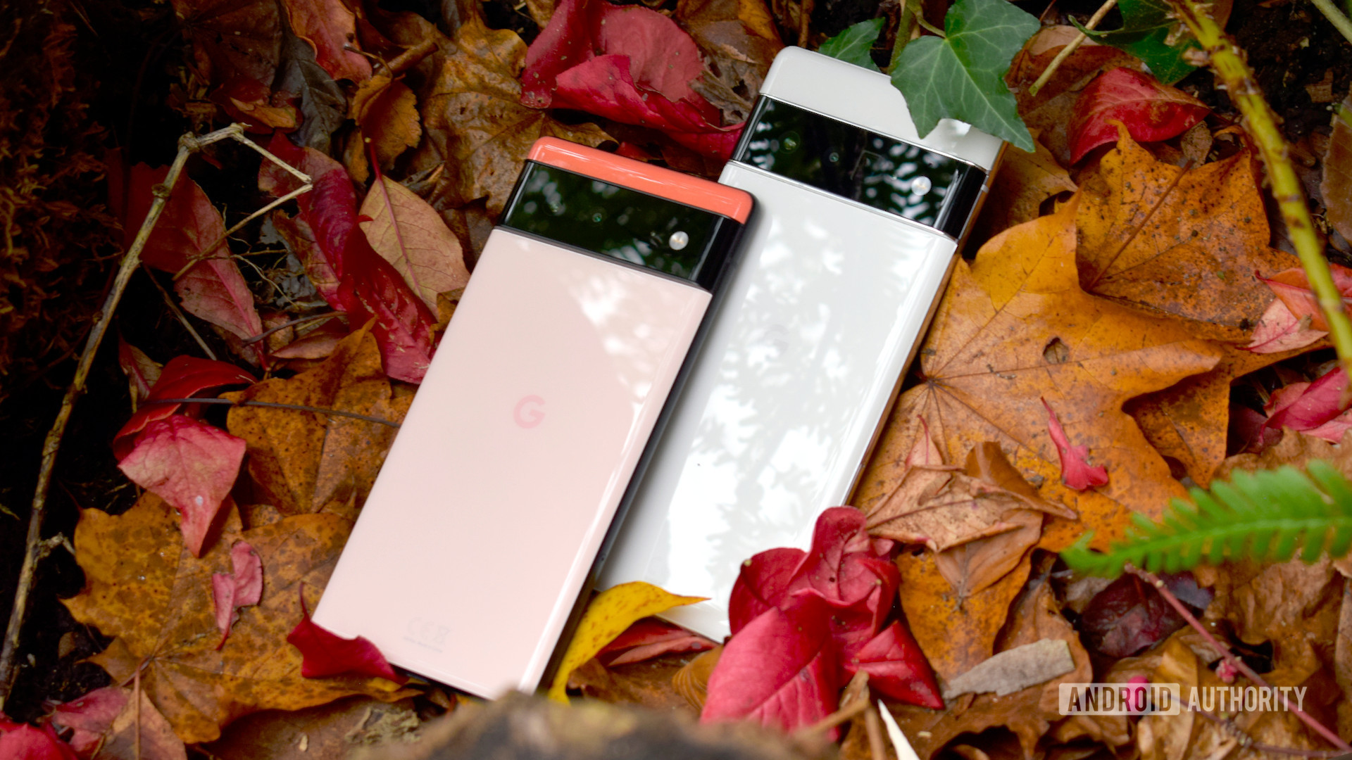 Google Pixel 6 and Pixel 6 Pro lying on autumn leaves - The best phones in the UK