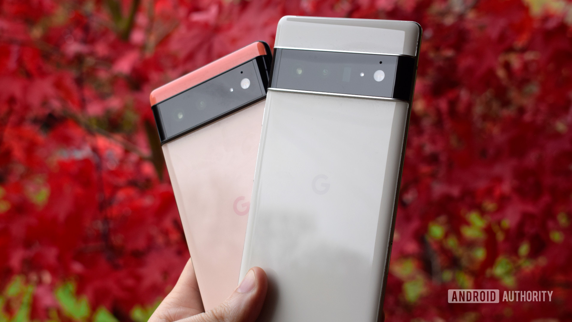 Google Pixel 6 and Pixel 6 Pro on red leaf background - Phones with stock Android