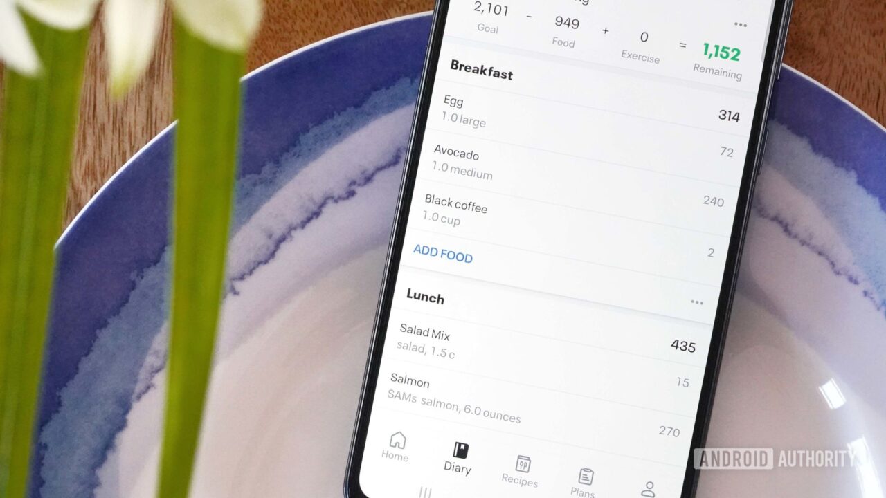 How to fix Fitbit and MyFitnessPal syncing issues Android Authority