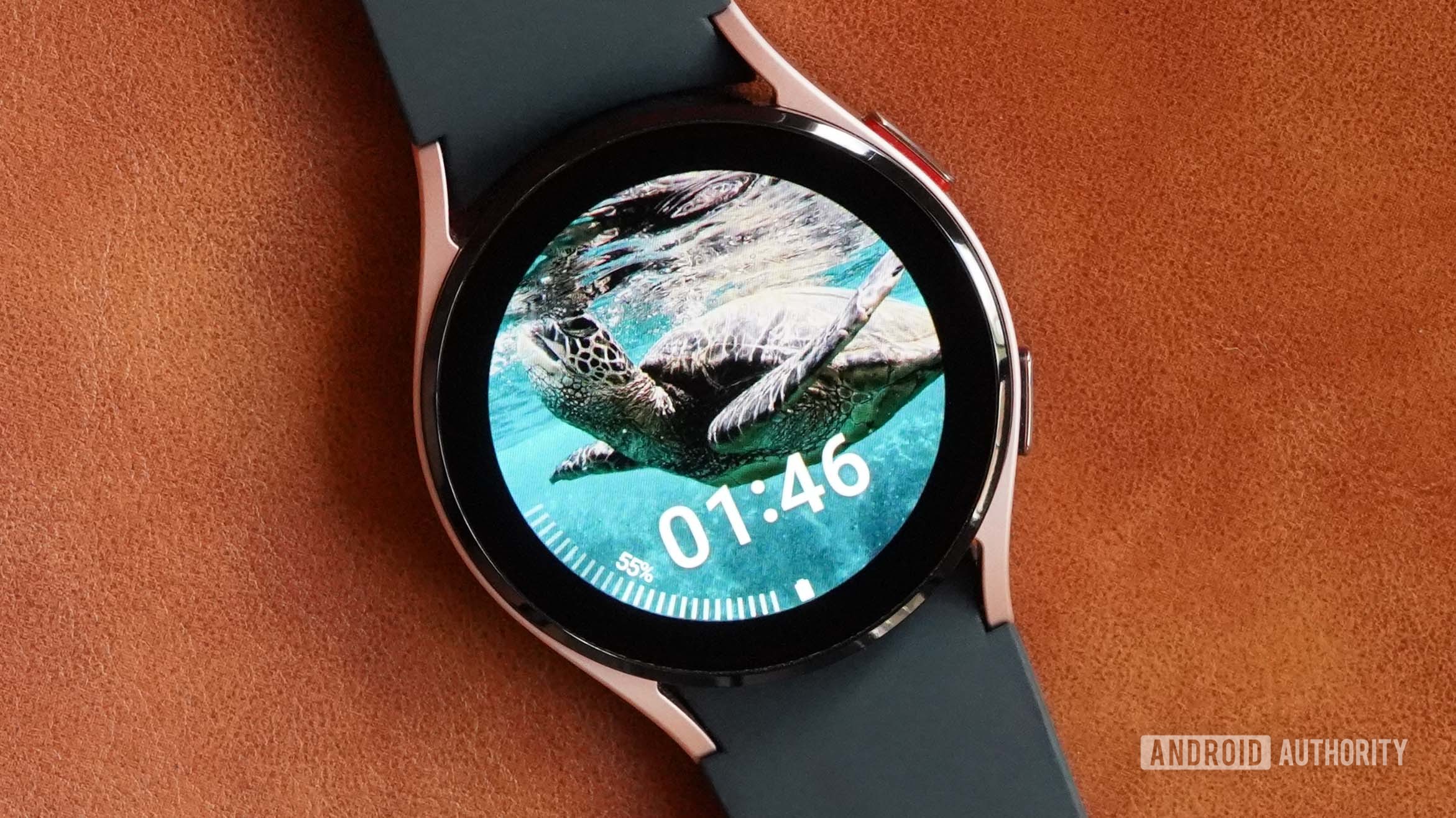 A Samsung Galaxy Watch 4 displays a turtle swimming as a user's watch face.