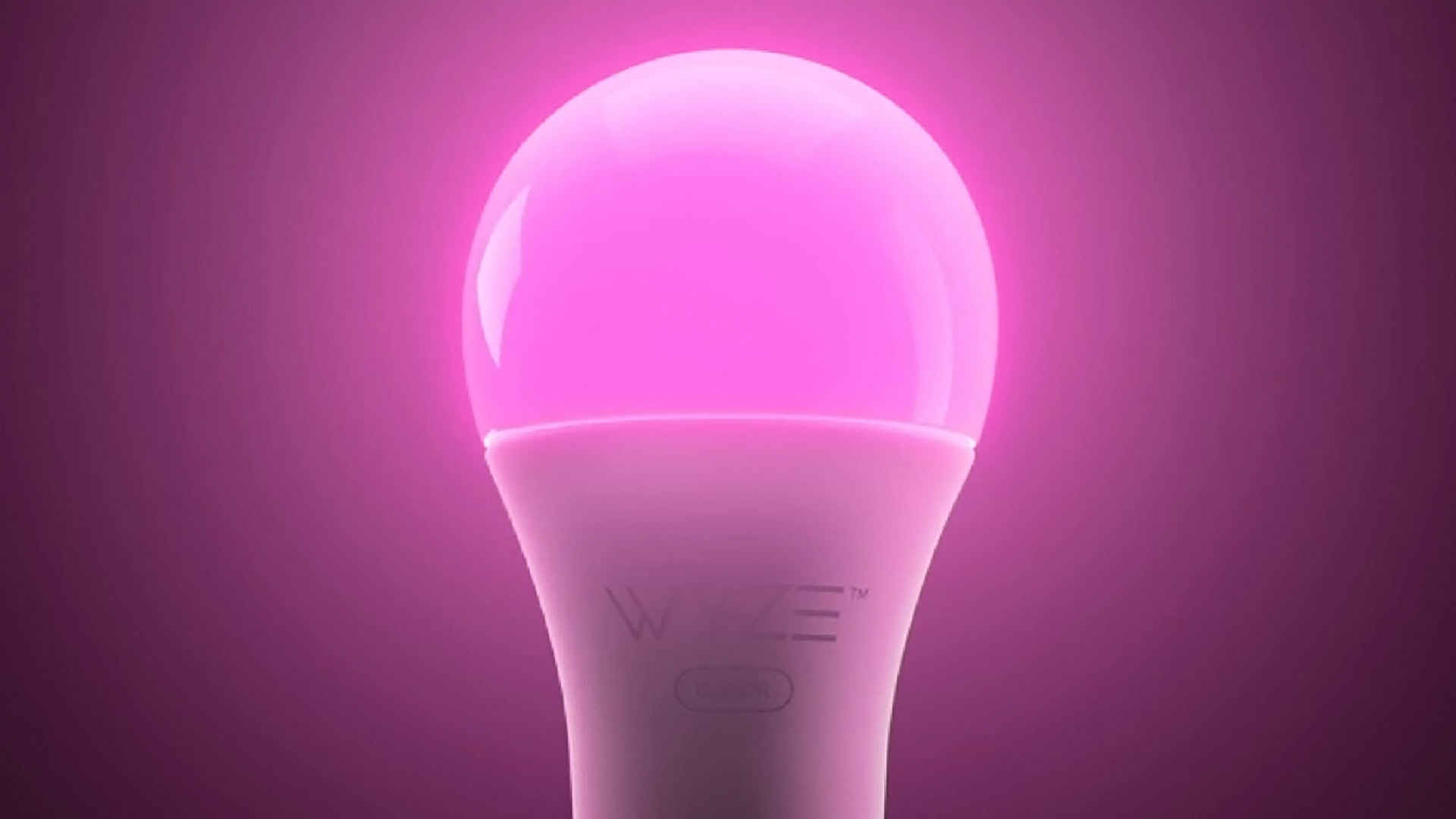 A Wyze Bulb Color glowing purple