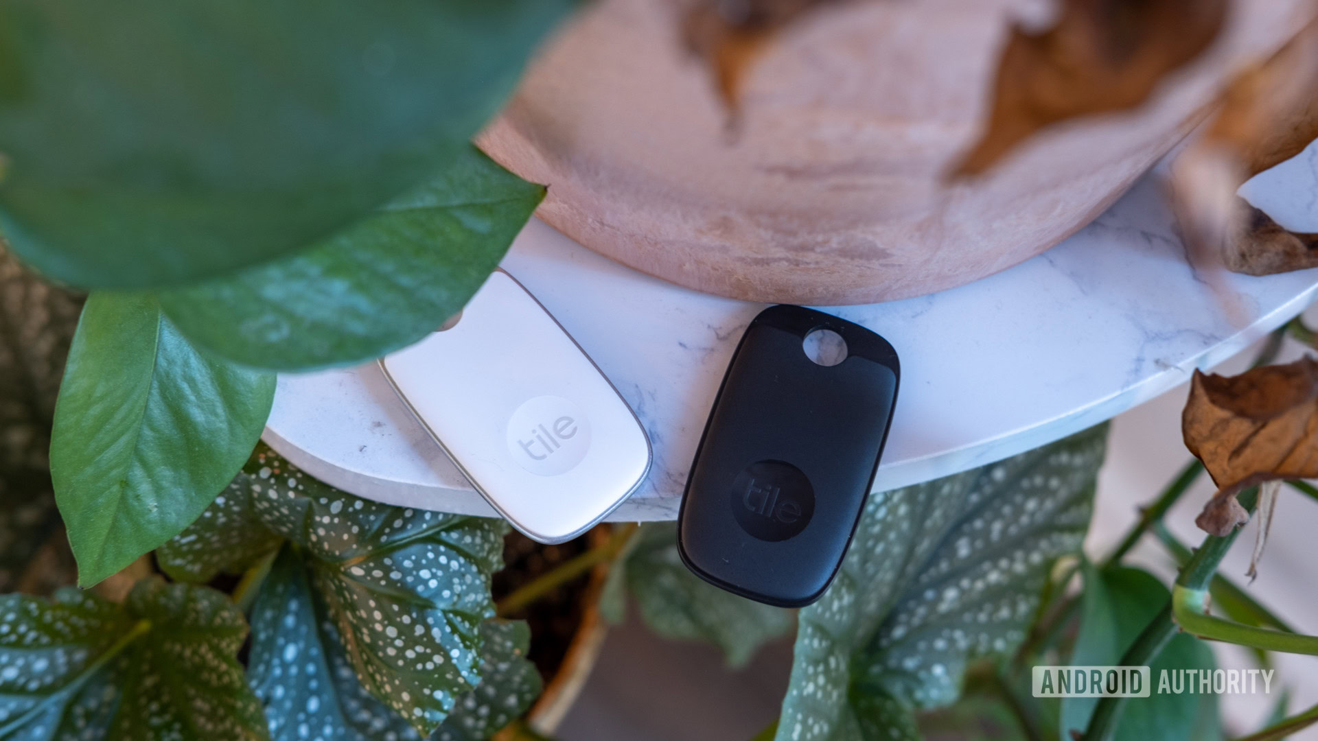 Tile Mate review: The original AirTag alternative - Android Authority