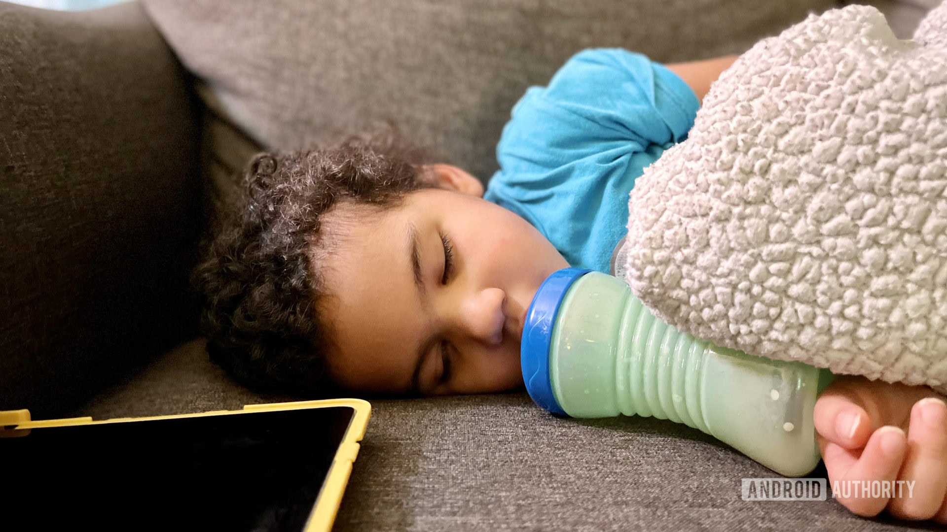 Gary sleeping next to an iPad Air 2