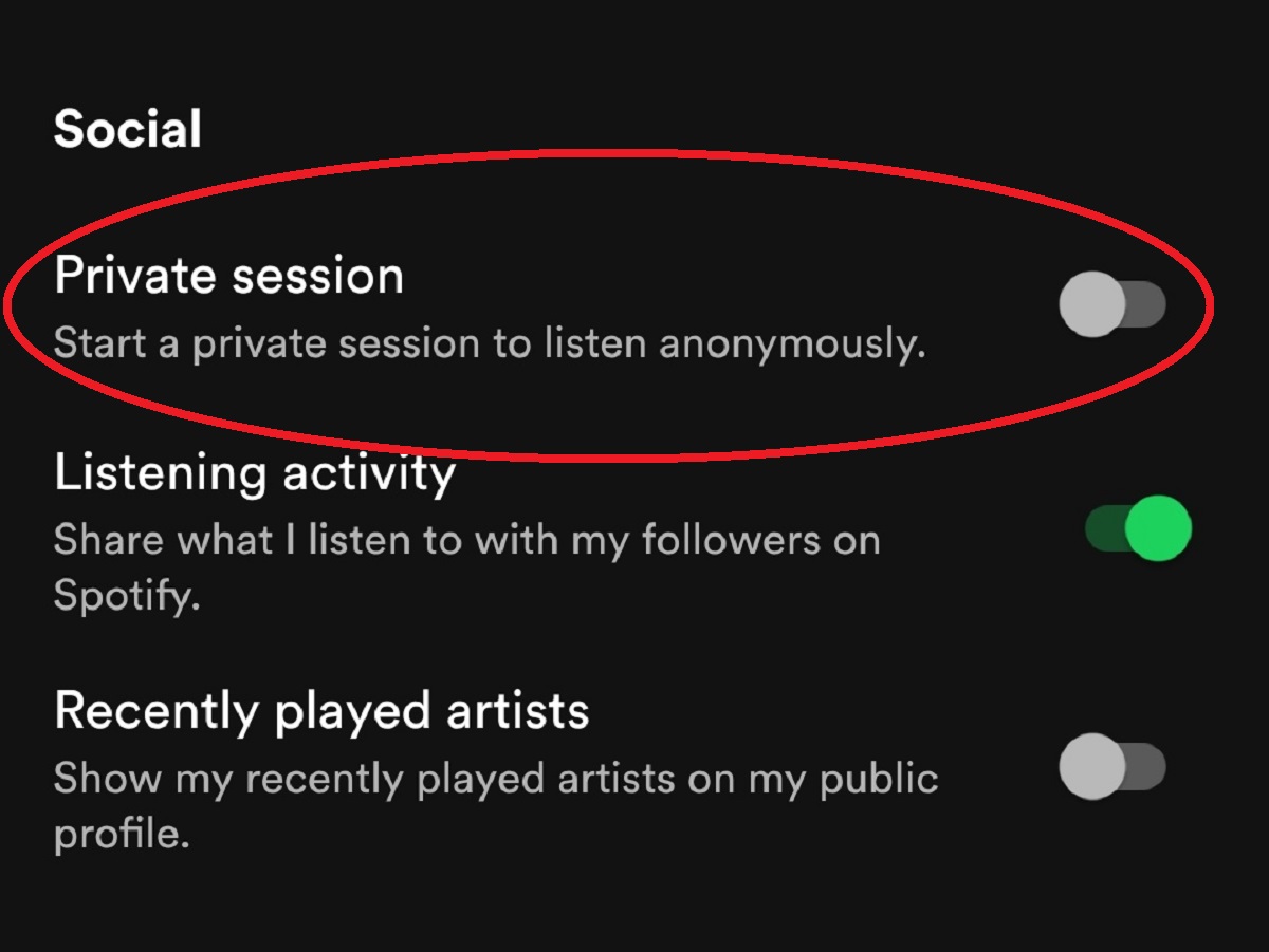spotify mobile screenshot private session