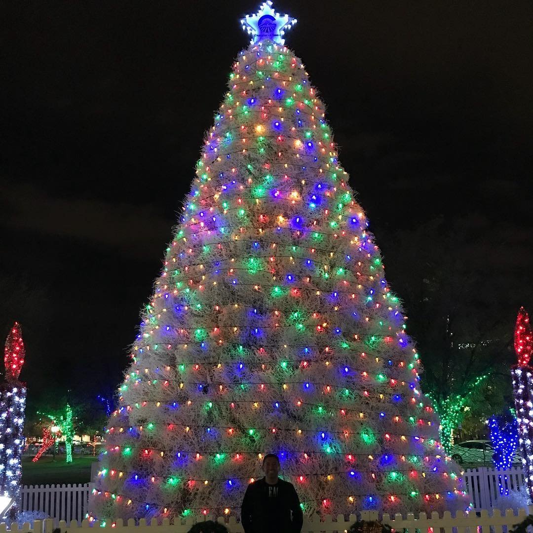 weird christmas trees 3