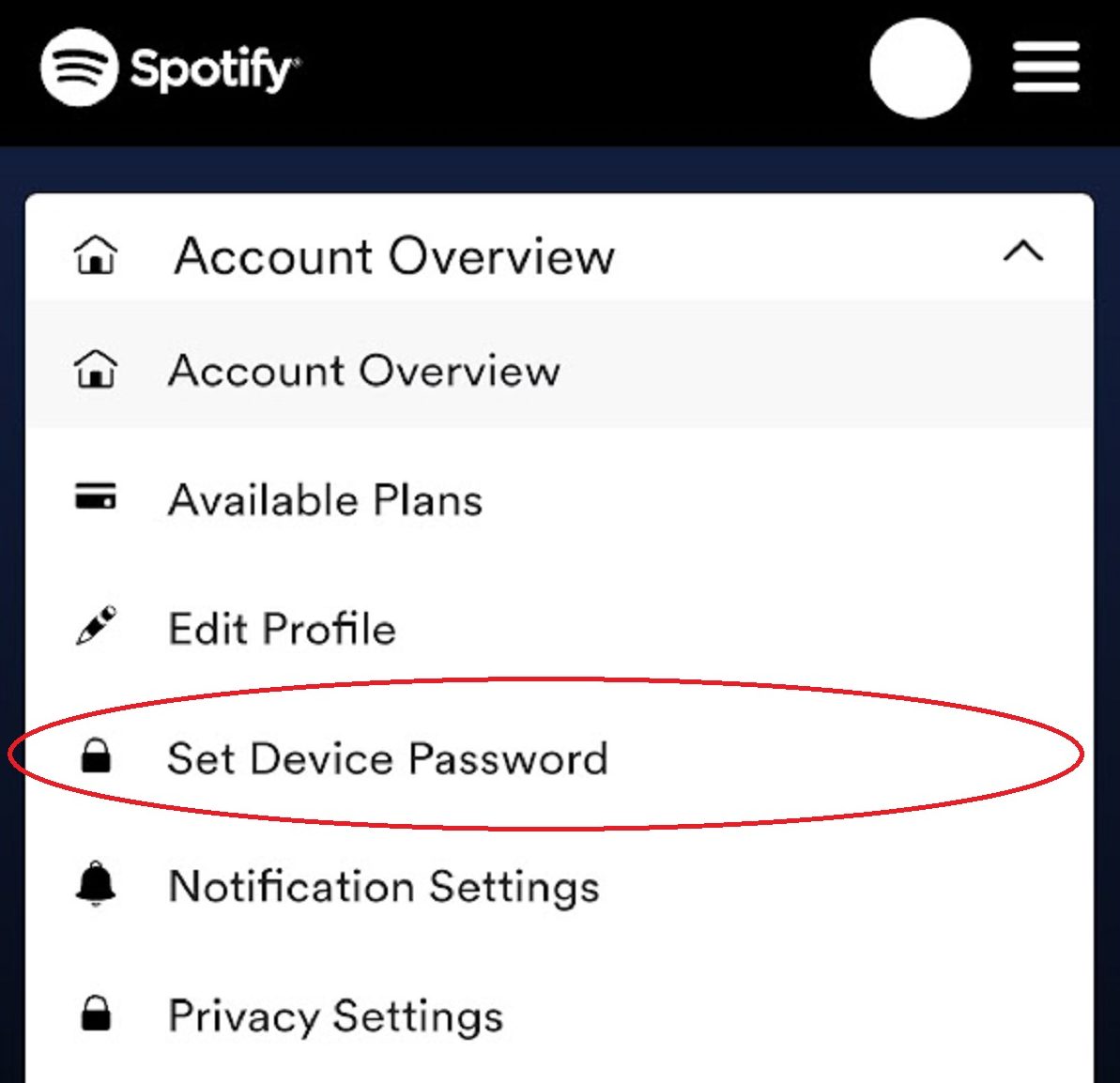 Spotify How 2 Set Password Mobile screenshot 2022