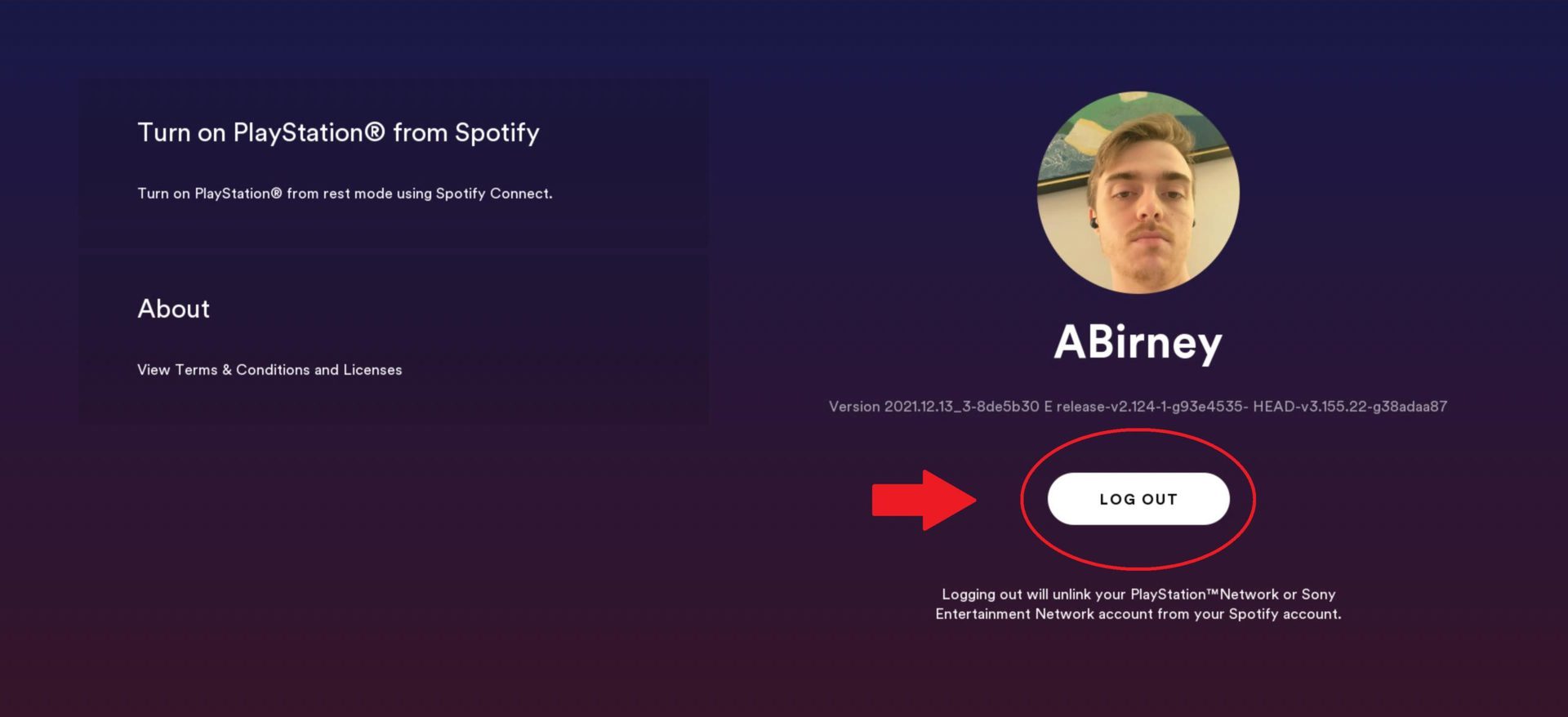 SpotifyPS4accountsettings