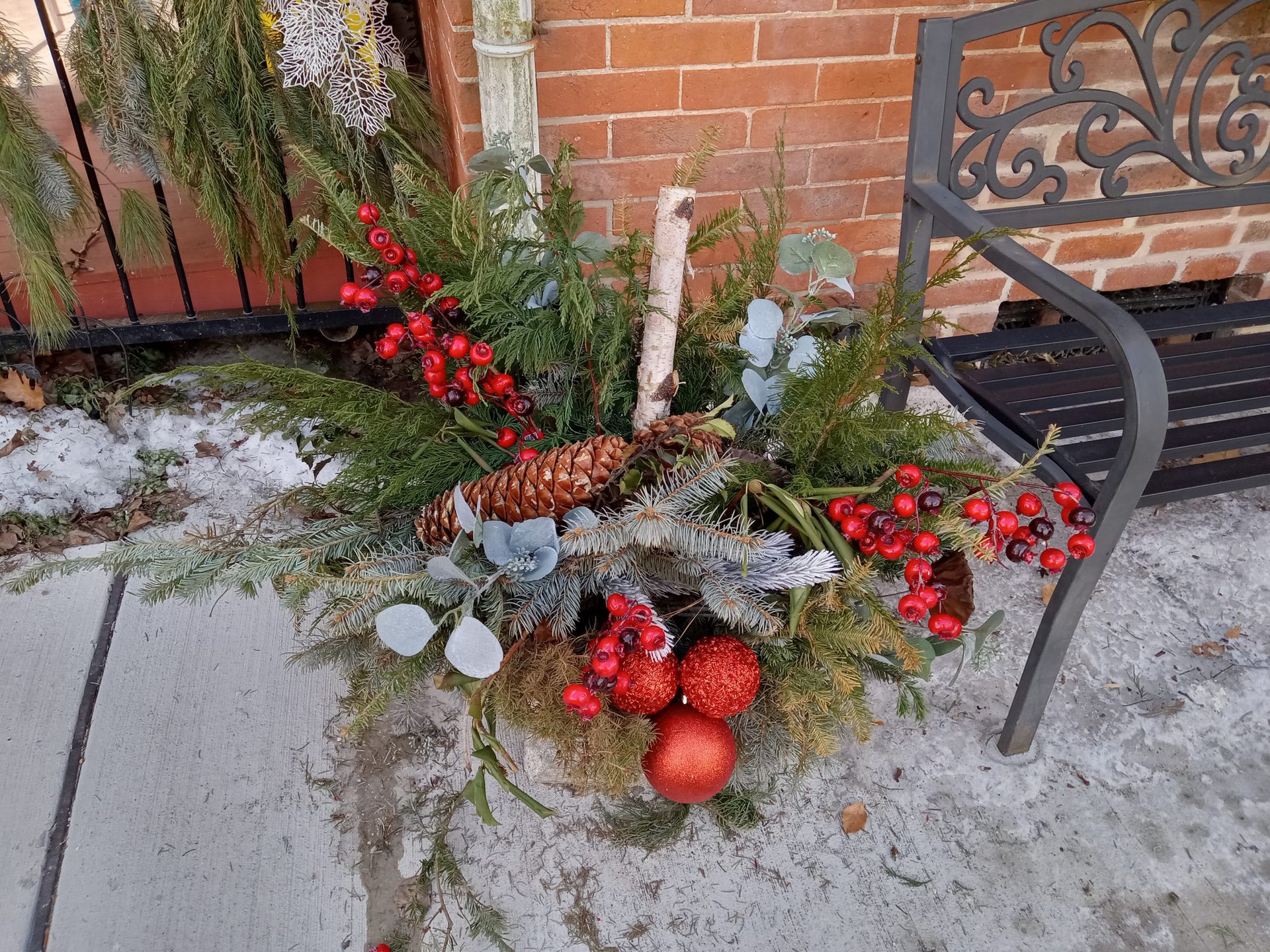 galaxy a03s holiday planter with red and green foliage and berries