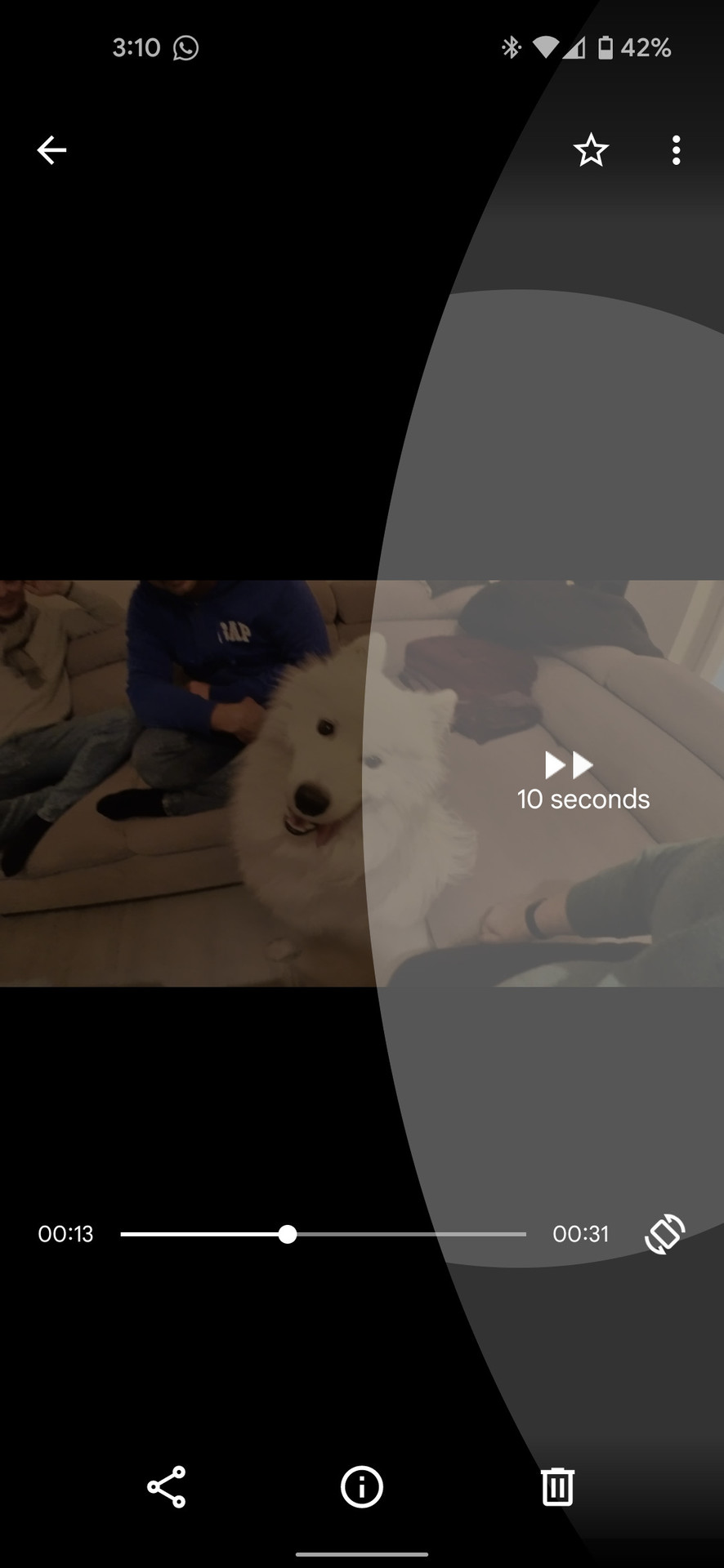 Google Files showing a dog video with skip gesture overlay.