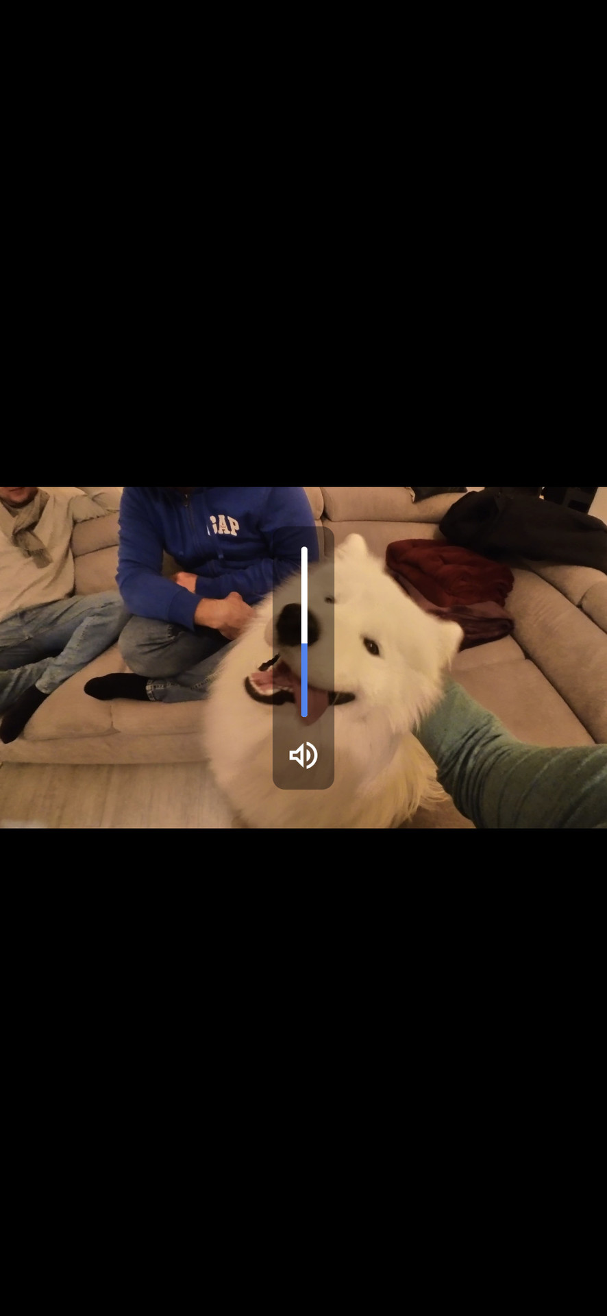 Google Files showing a dog video with the volume gesture overlay.