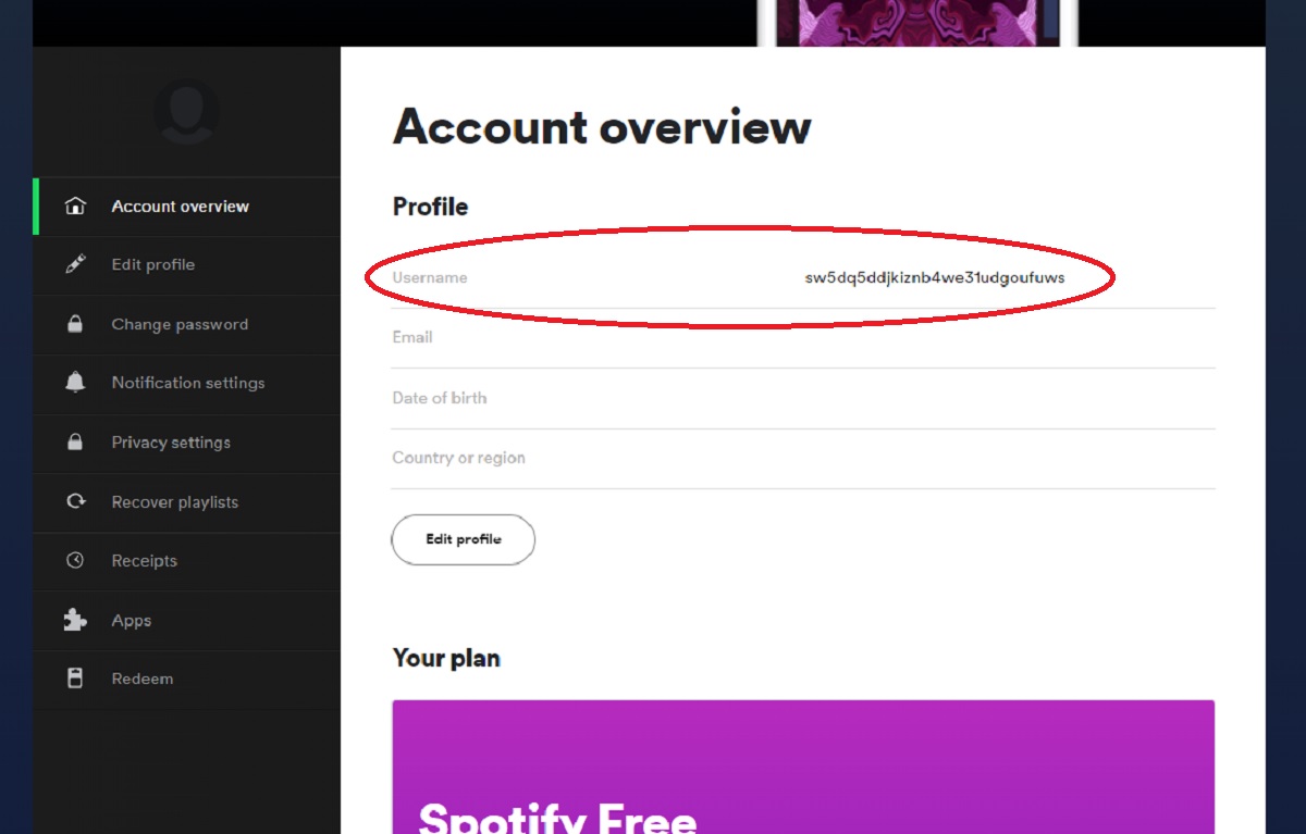 How to Change Spotify Username  