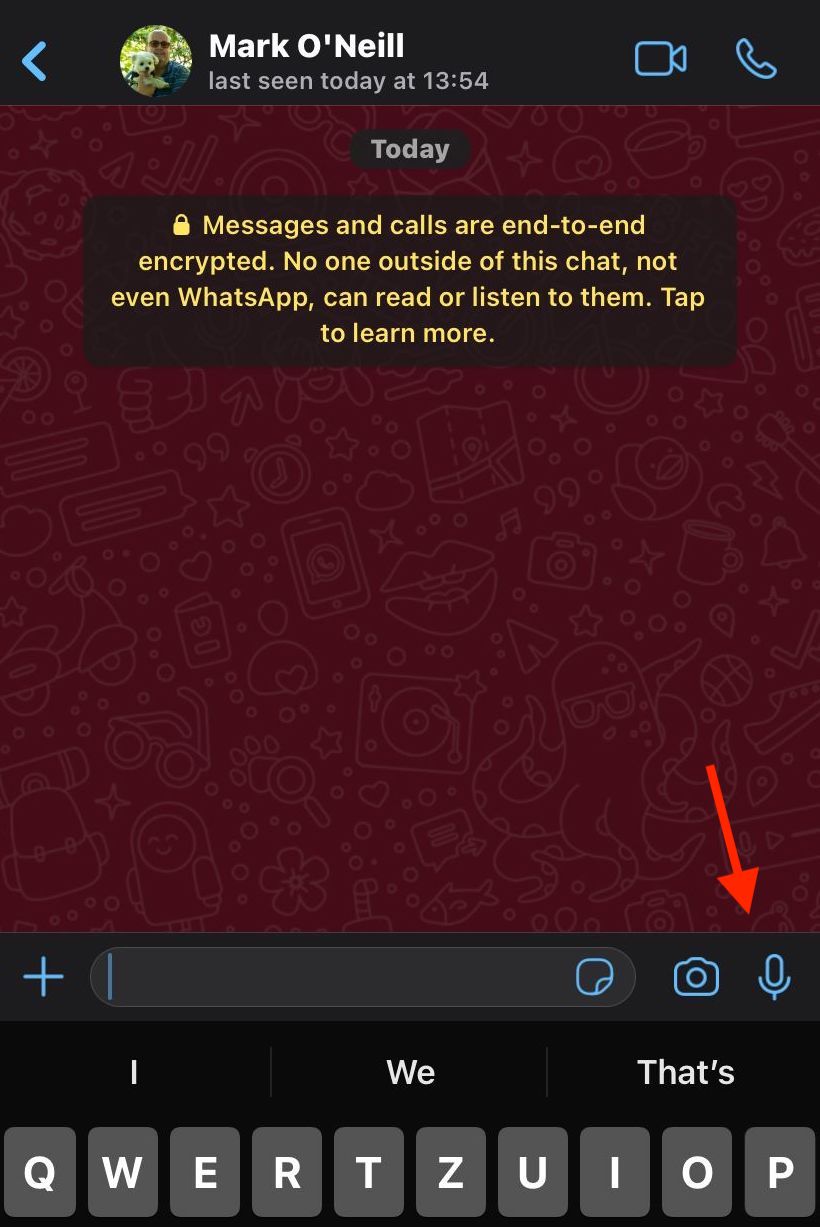 значок голосовых сообщений whatsapp ios