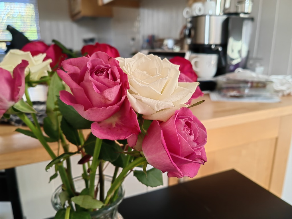 HUAWEI P50 Pro camera sample indoor pale pink and fuchsia pink roses in a vase in a kitchen