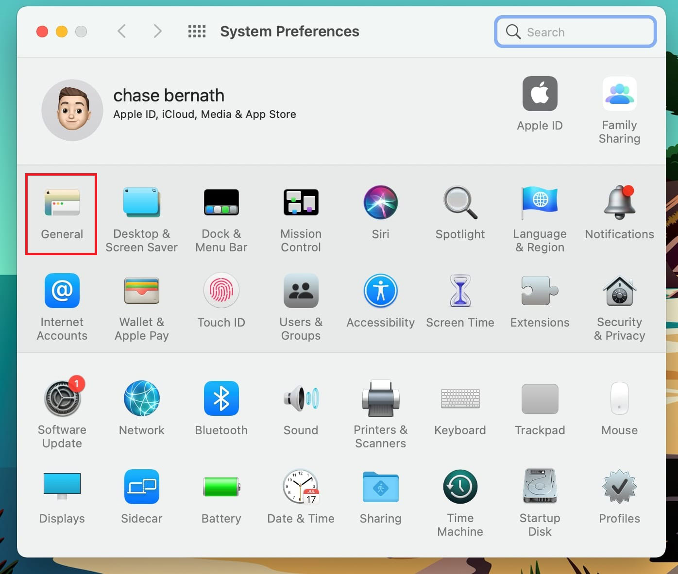 Mac System Preferences