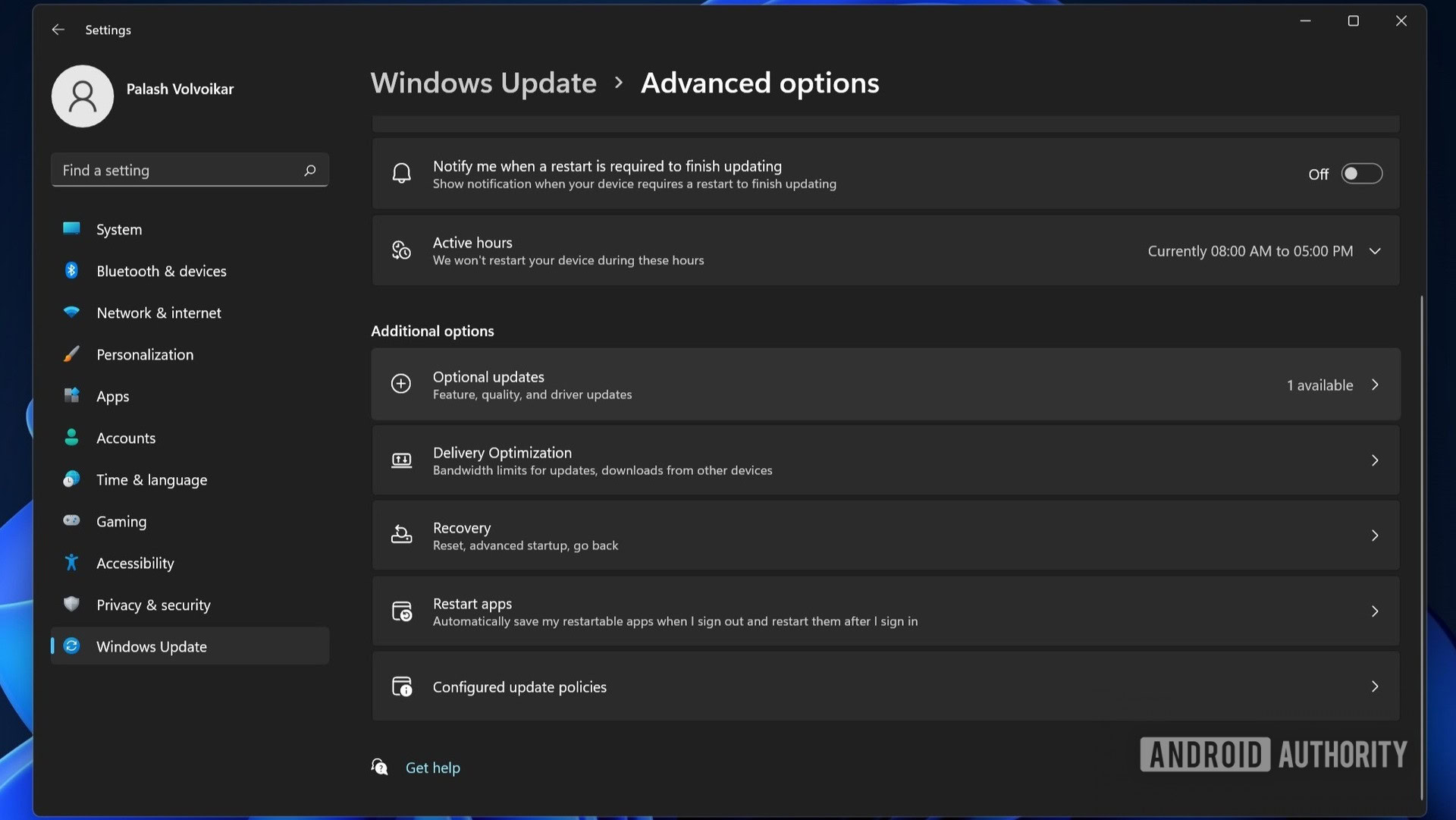 Windows 11 Update options