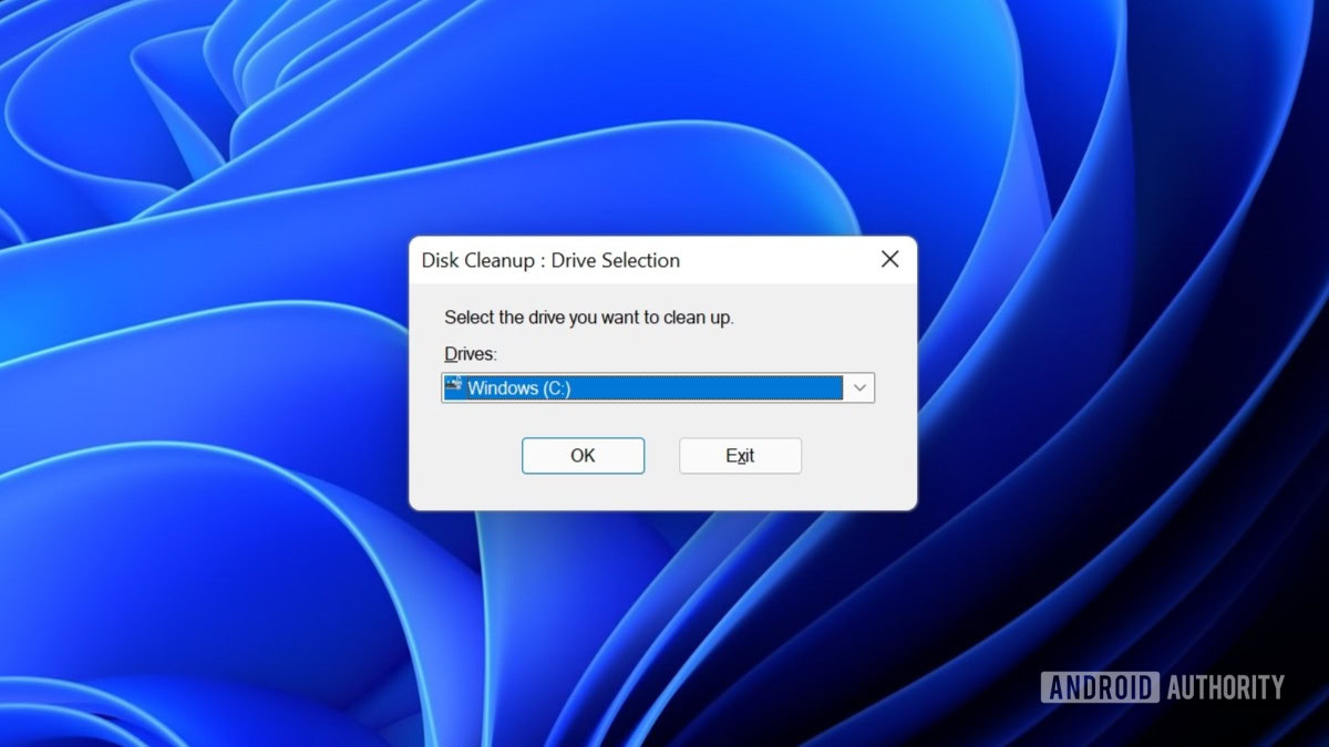 Windows 11 disk cleanup disk selection