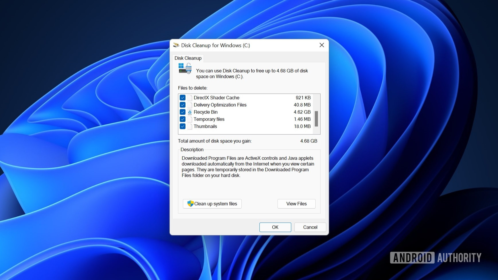 Windows 11 disk cleanup options