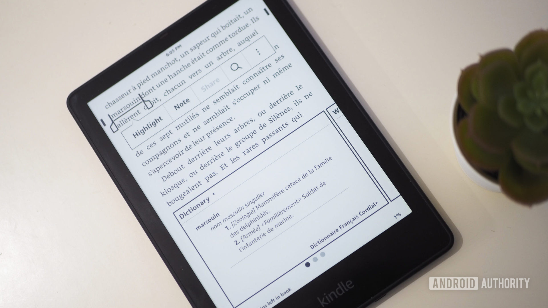 Amazon Kindle Paperwhite 2021 screen showing selected word and dictionary