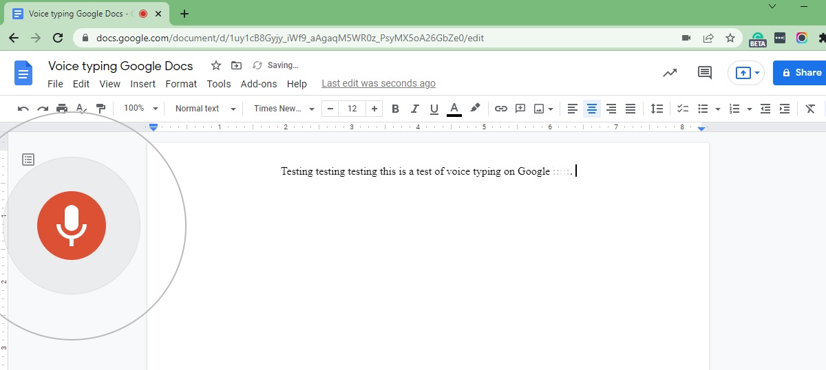 voice typing test on google docs
