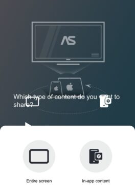 How to cast to Fire TV Stick from Android or iPhone - Android Authority