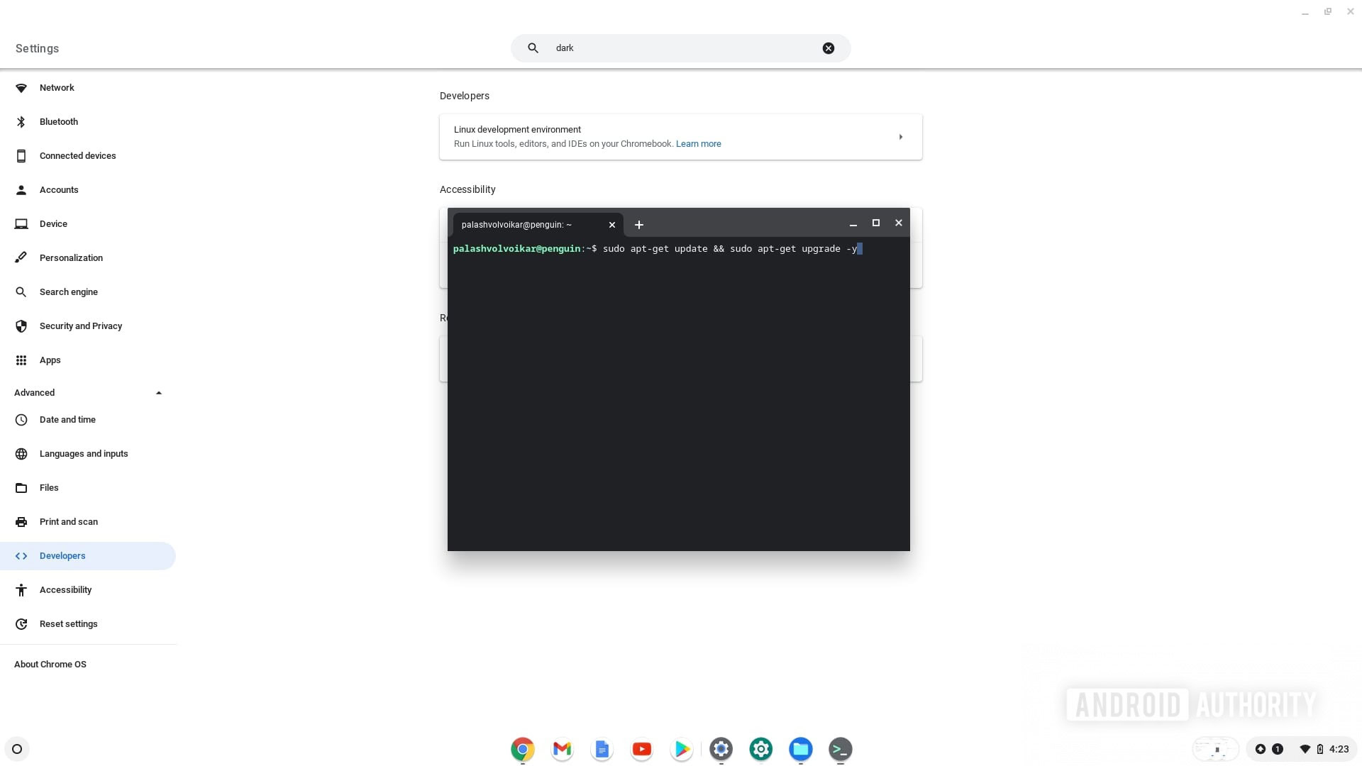 Chromebook Linux terminal update