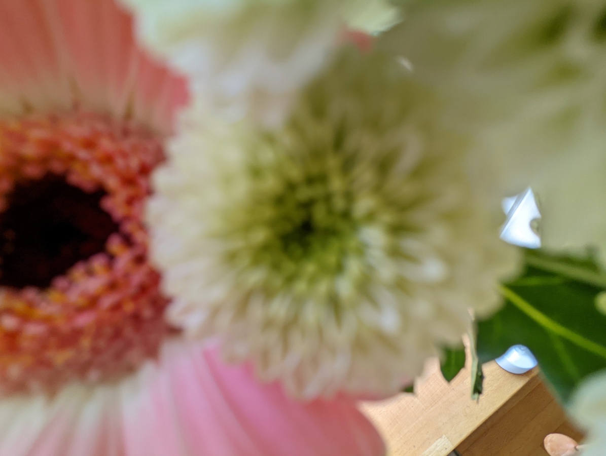 Flowers supermacro camera sample Google Pixel 6 Pro