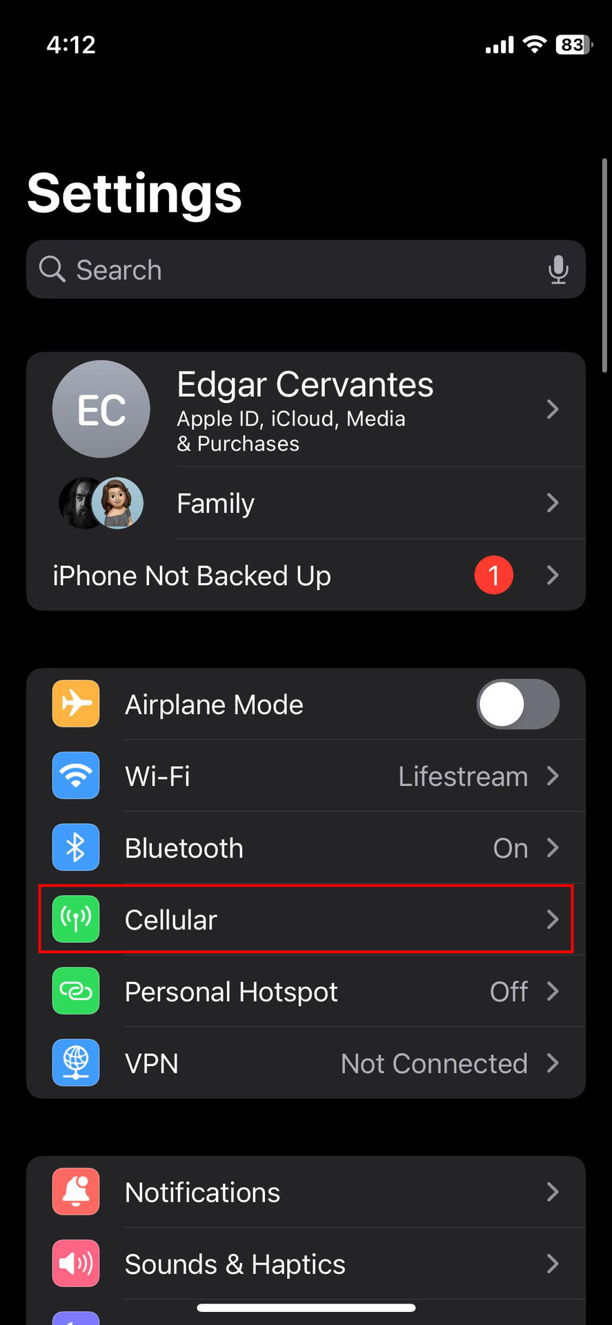 How to enable cellular data on iPhone (1)