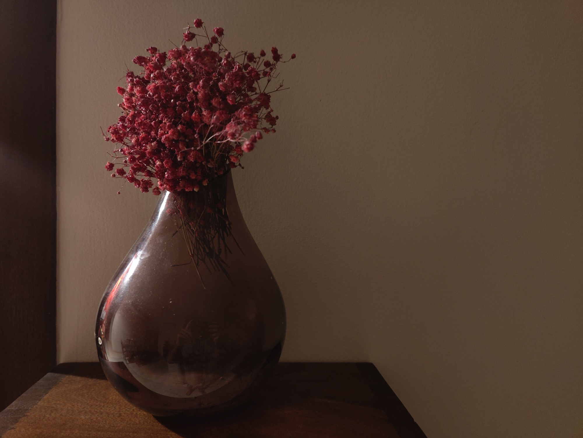 OnePlus 10 Pro camera sample indoor low light shot of a vase