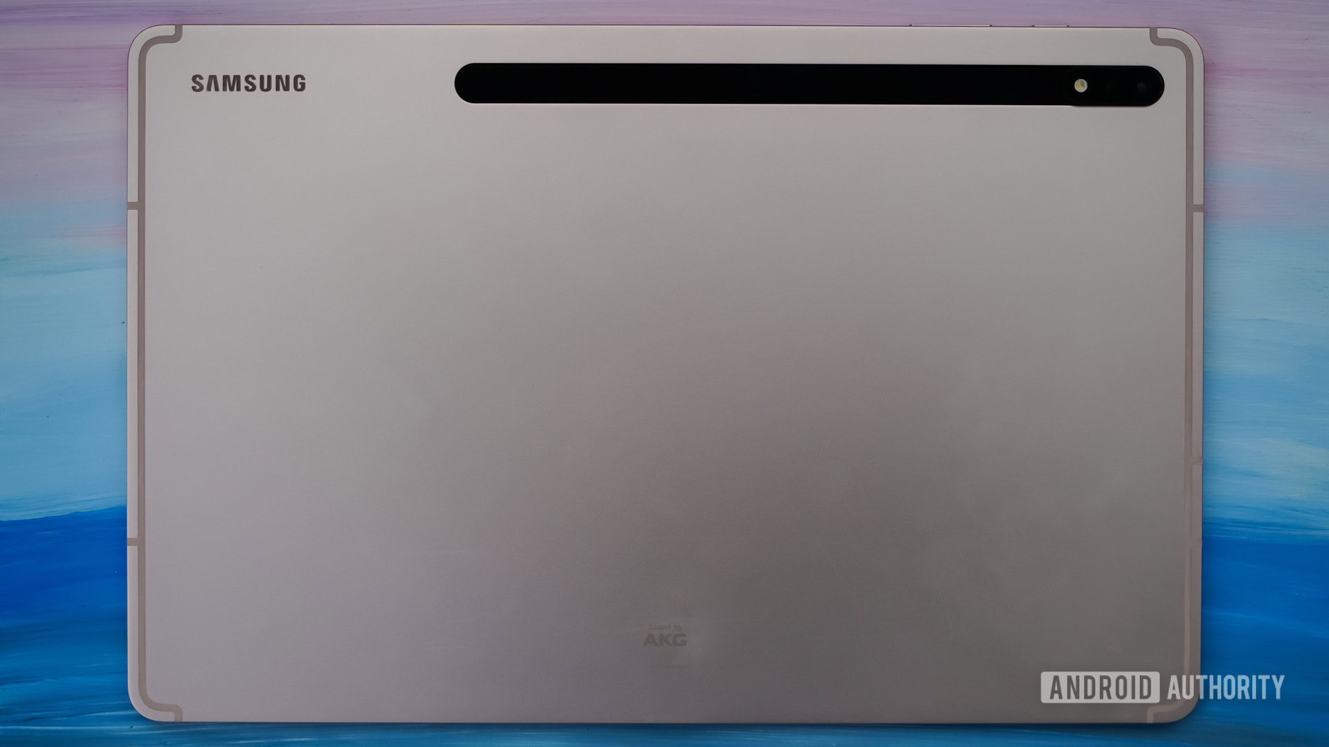 Samsung Galaxy Tab S8 Plus rear panel on color