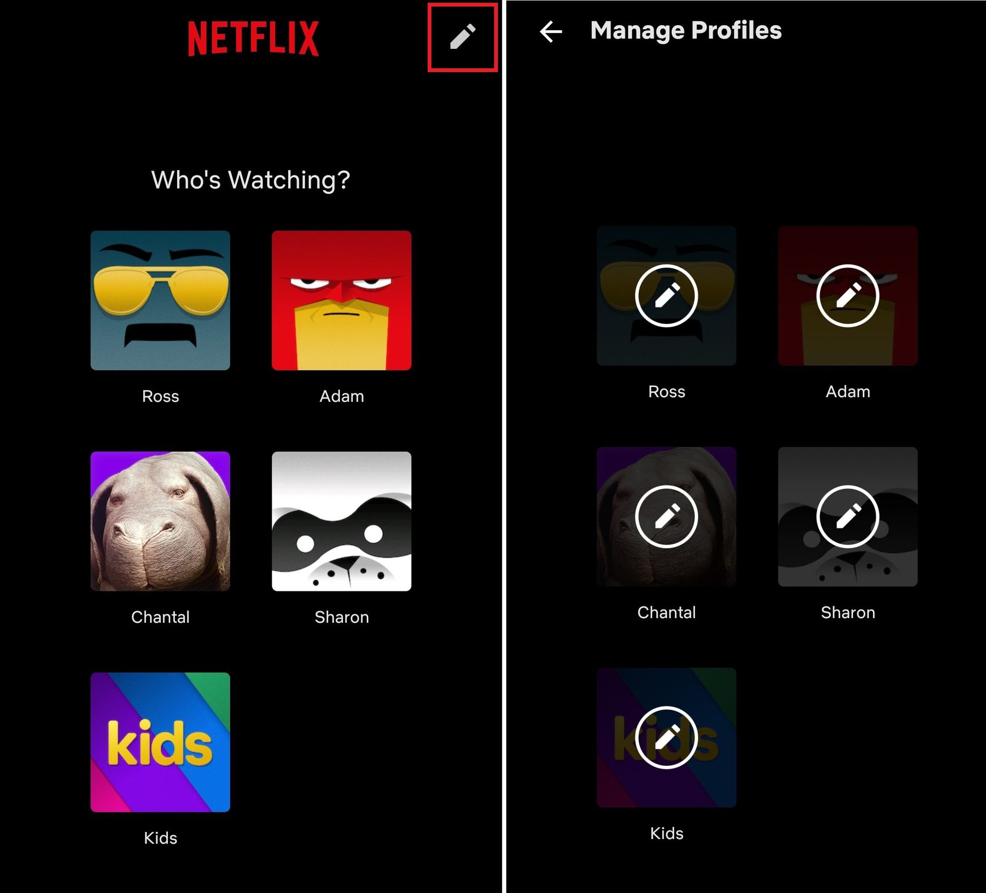 manage profiles netflix mobile