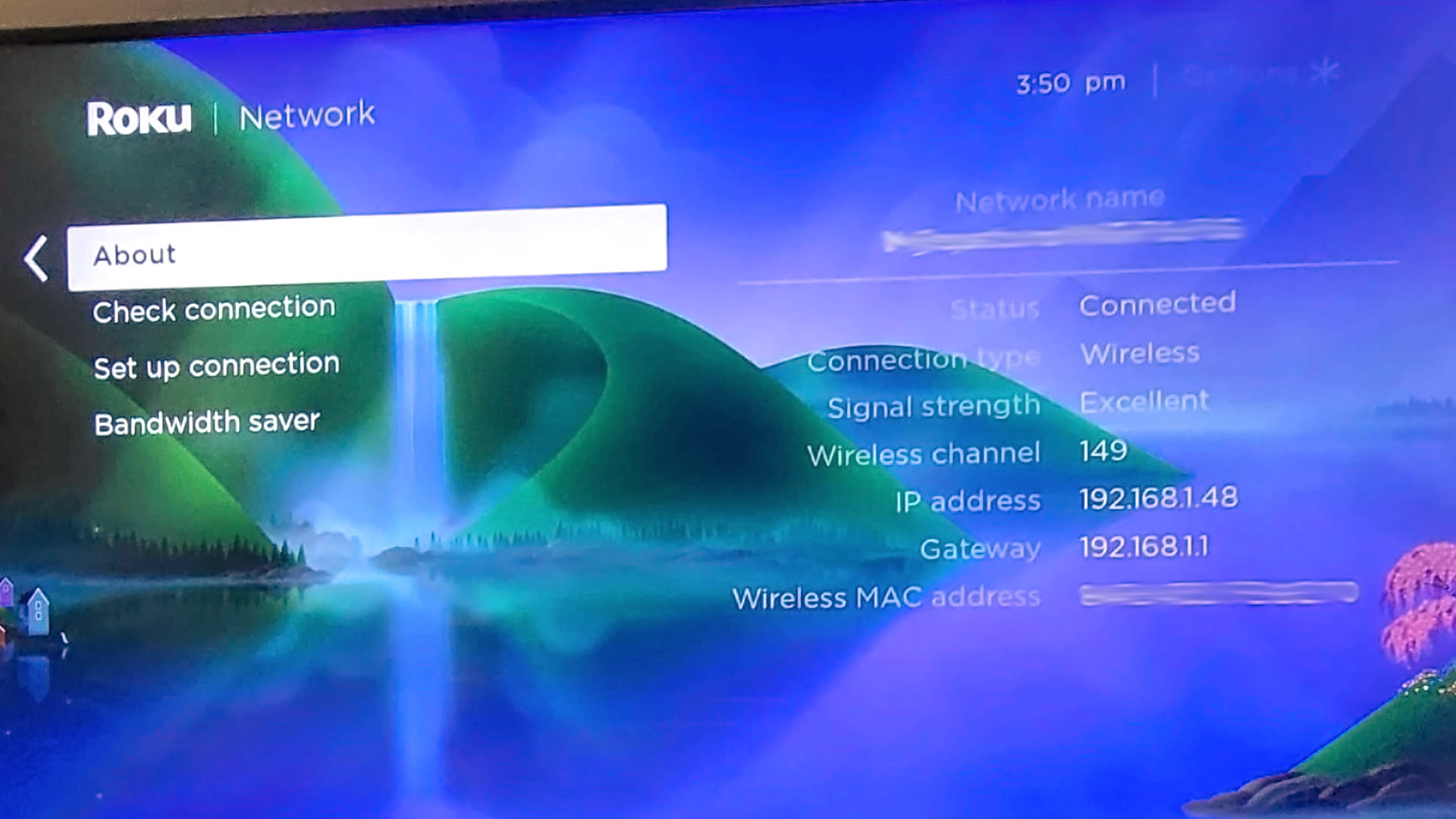 Viewing an IP address on a Roku TV