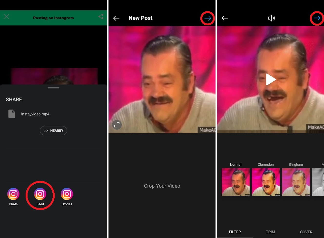edit your giphy gif as a video within the instagram app