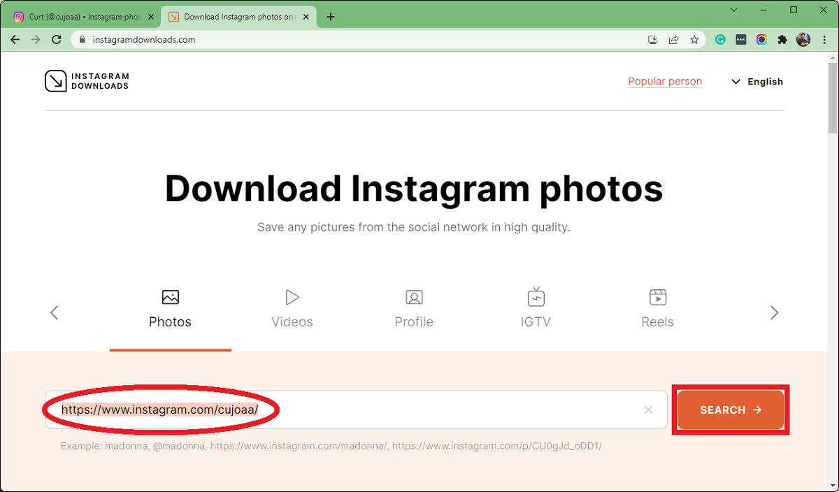 enter the url and search on instagramdownloads