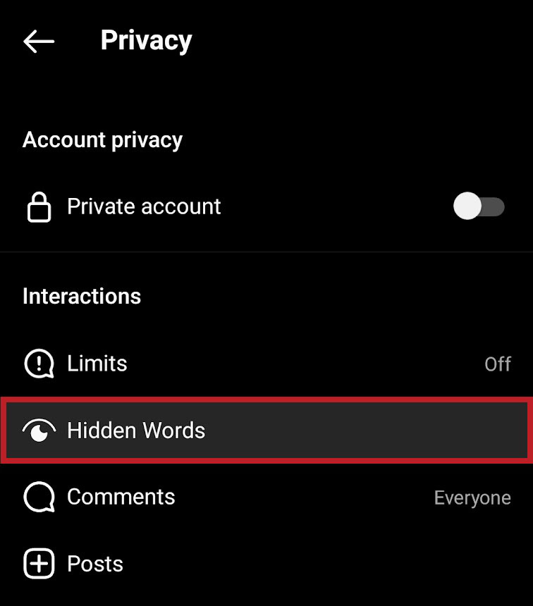find hidden words within privacy menu instagram