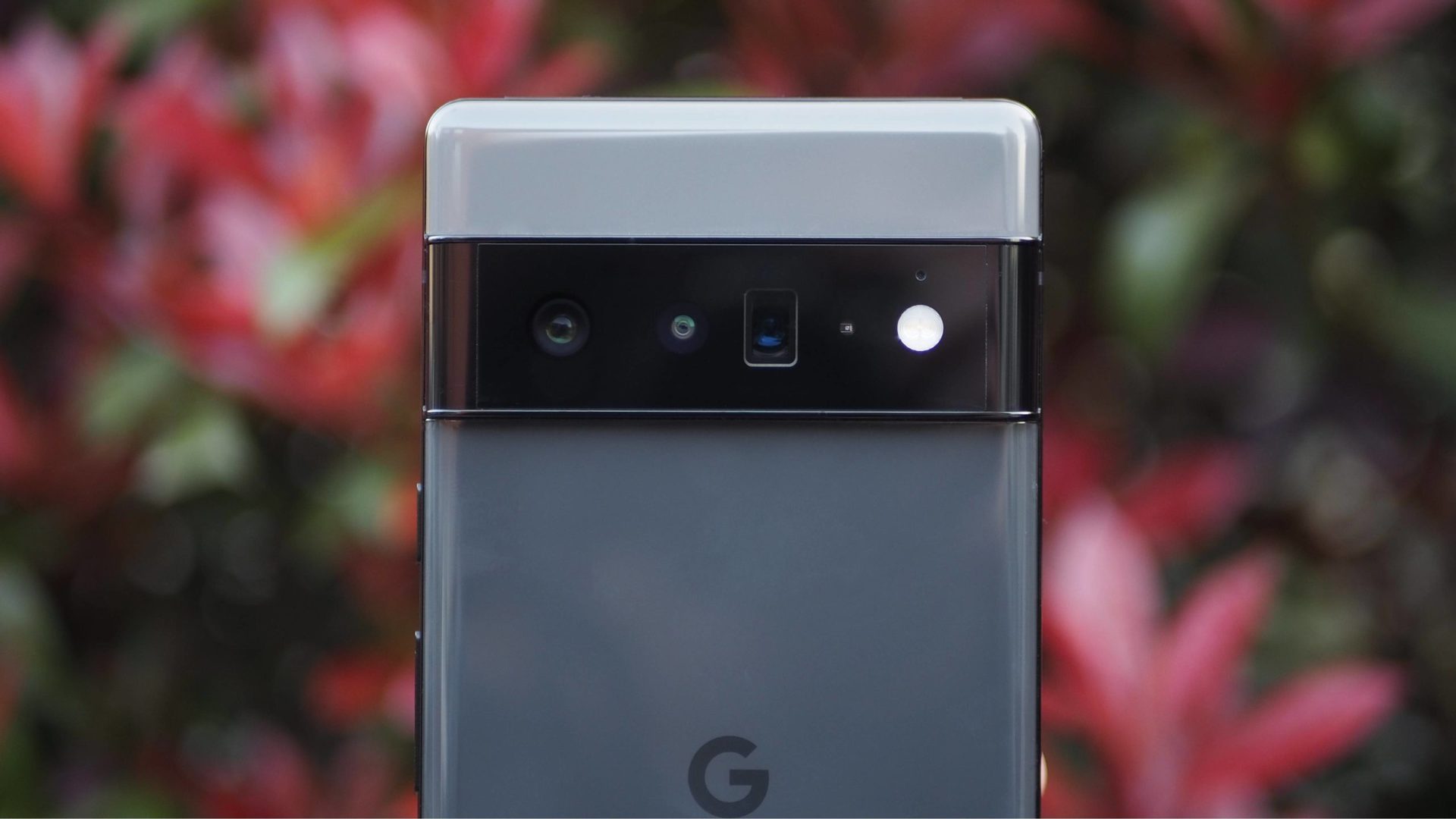 Google Pixel 6 Pro rear camera closeup with red plants in the background
