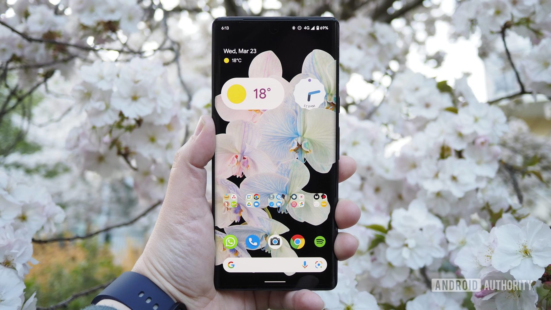 Google Pixel 6 Pro front homescreen with cherry blossoms in the background