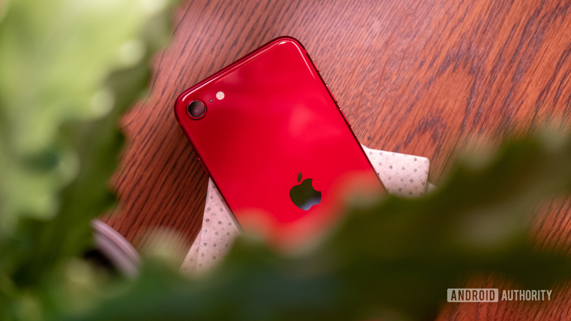 iPhone SE rear showing camera with a green plant in the foreground - Phones with wireless charging