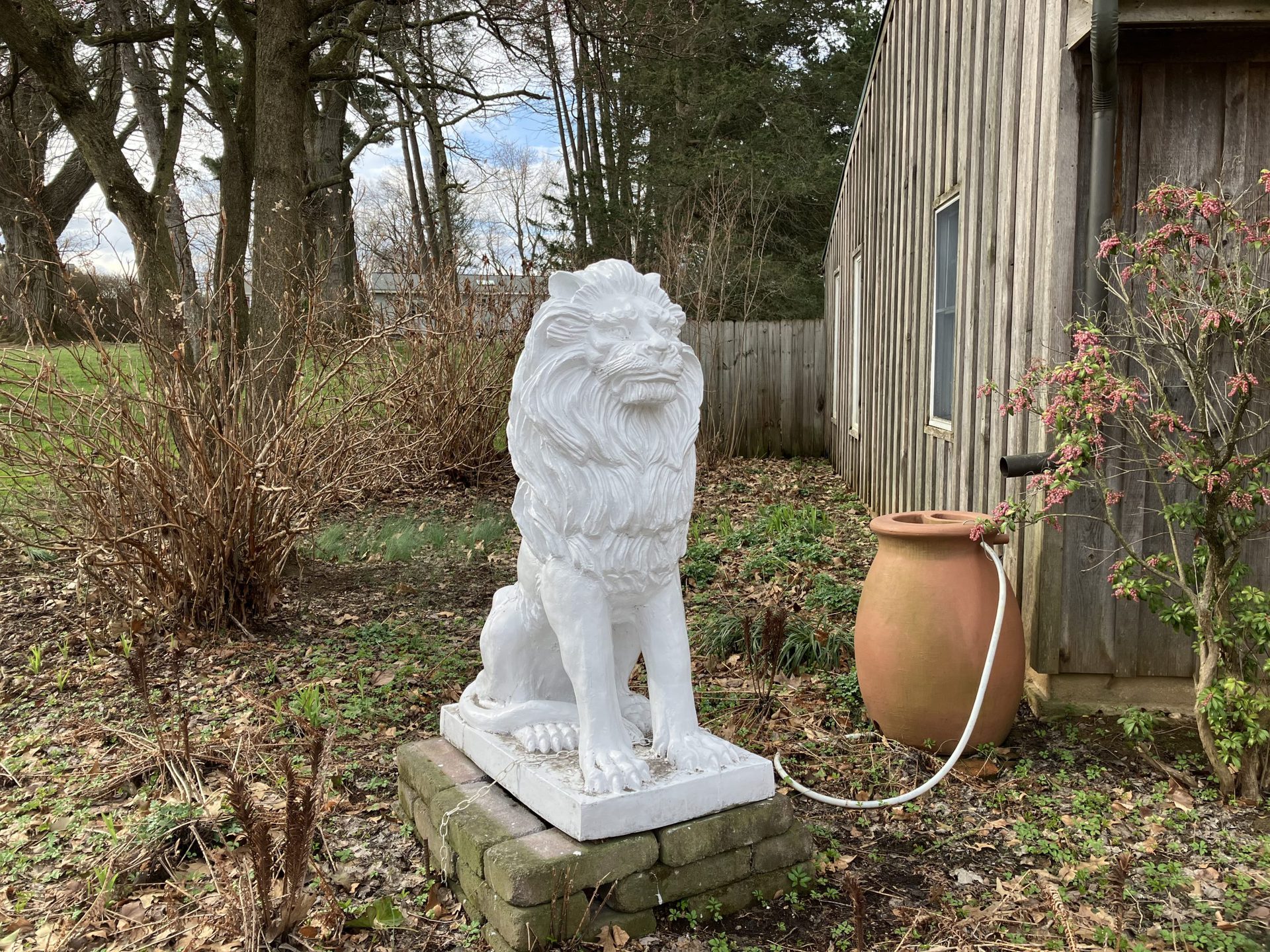 Iphone se white lion statue outdoors