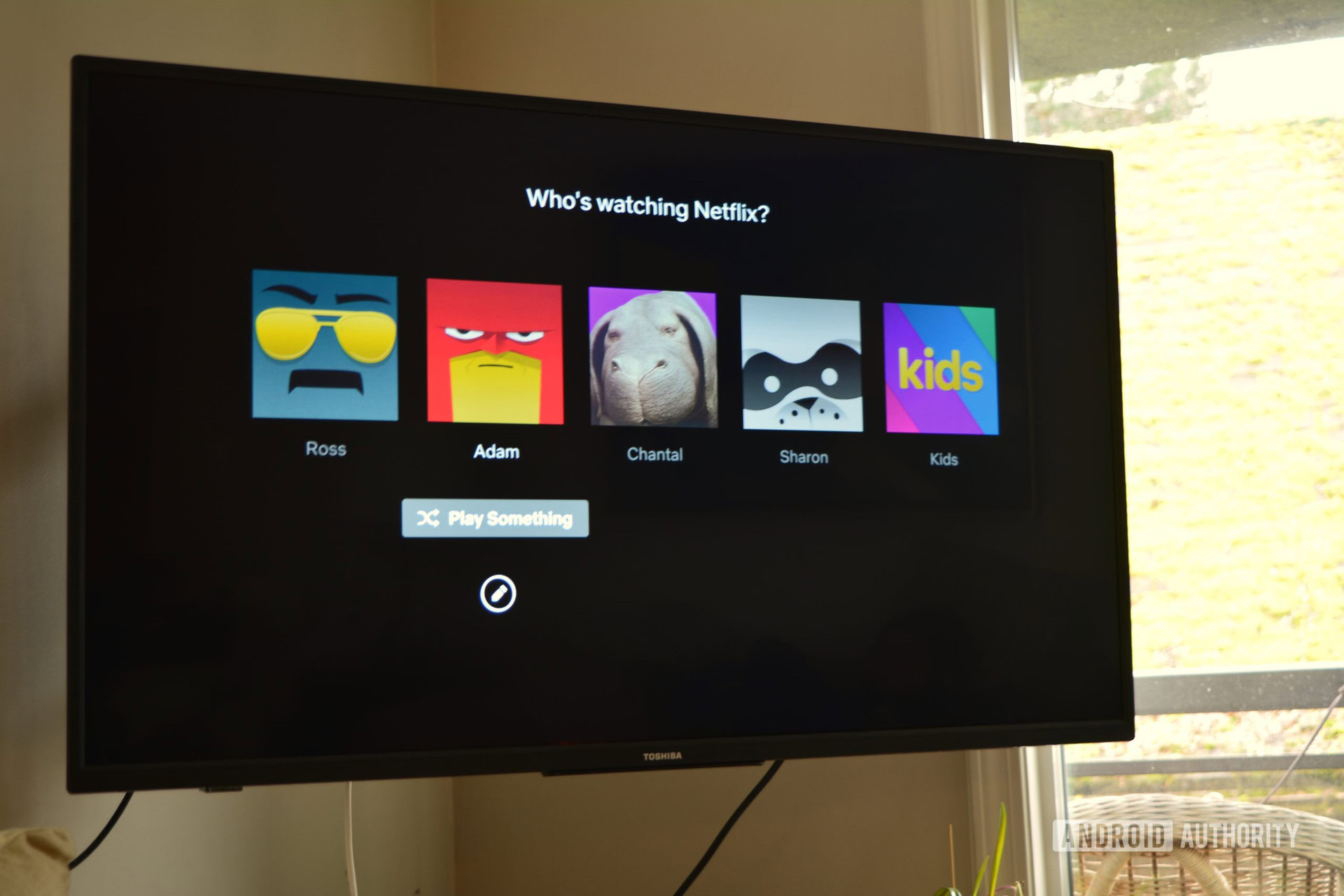 netflix profiles TV