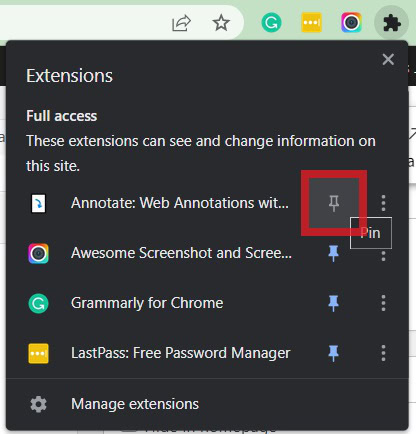 pin your extension