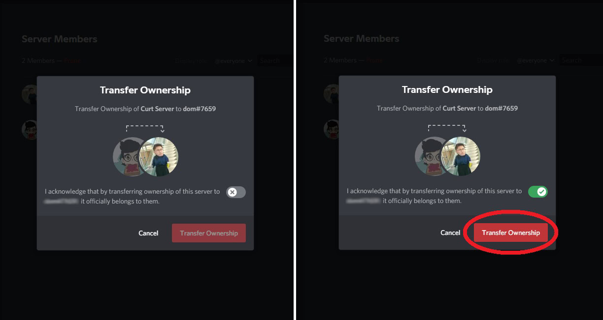 transfer ownership discord