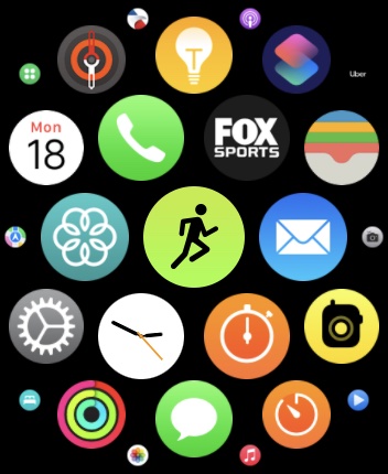 Apple Watch Screenshot Workout App