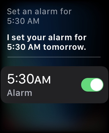 Apple Watch Siri Alarm Confirmation