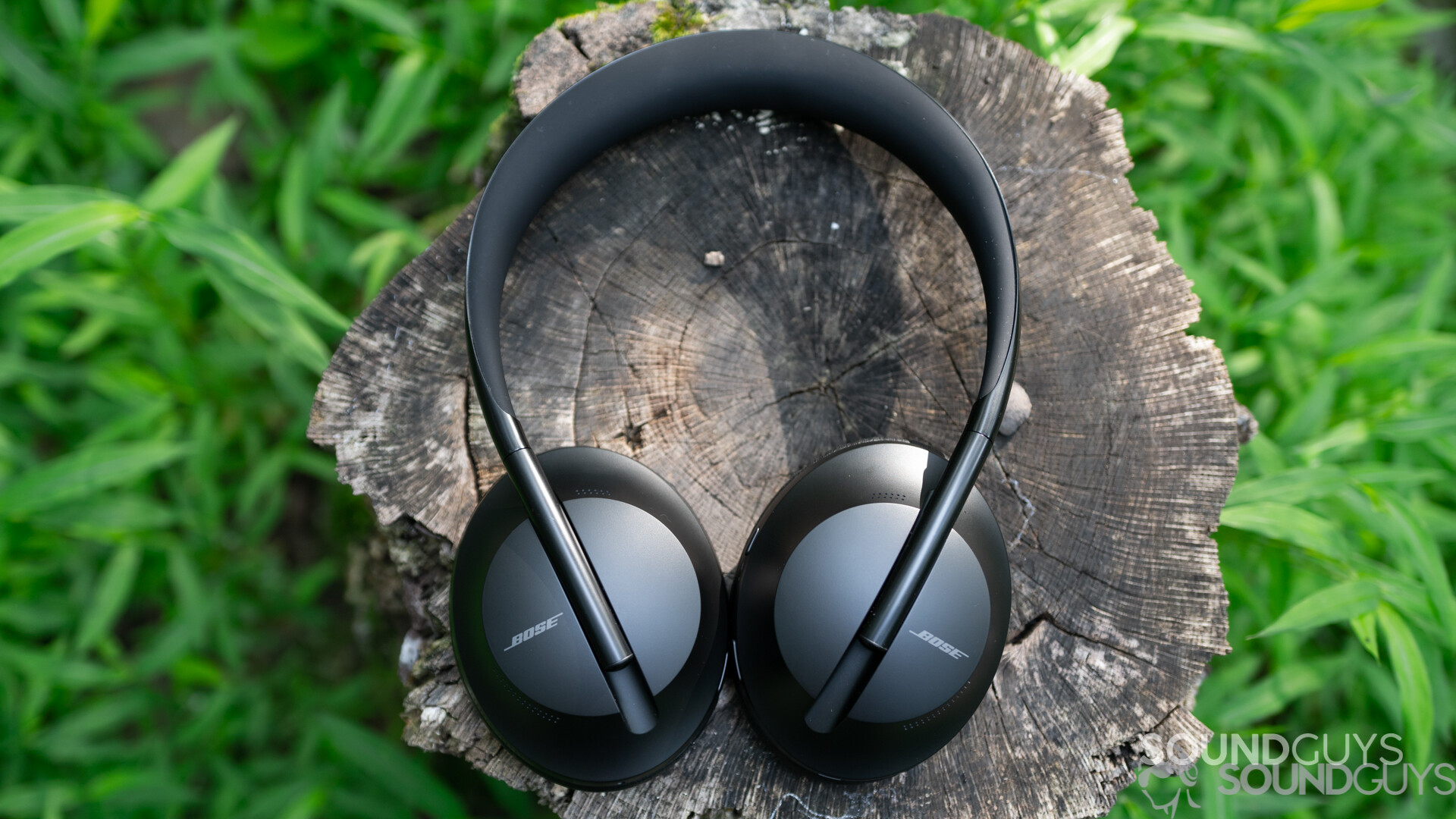 Bose Noise Canceling Headphones 700 sitting on a tree stump surrounded by grass outside.