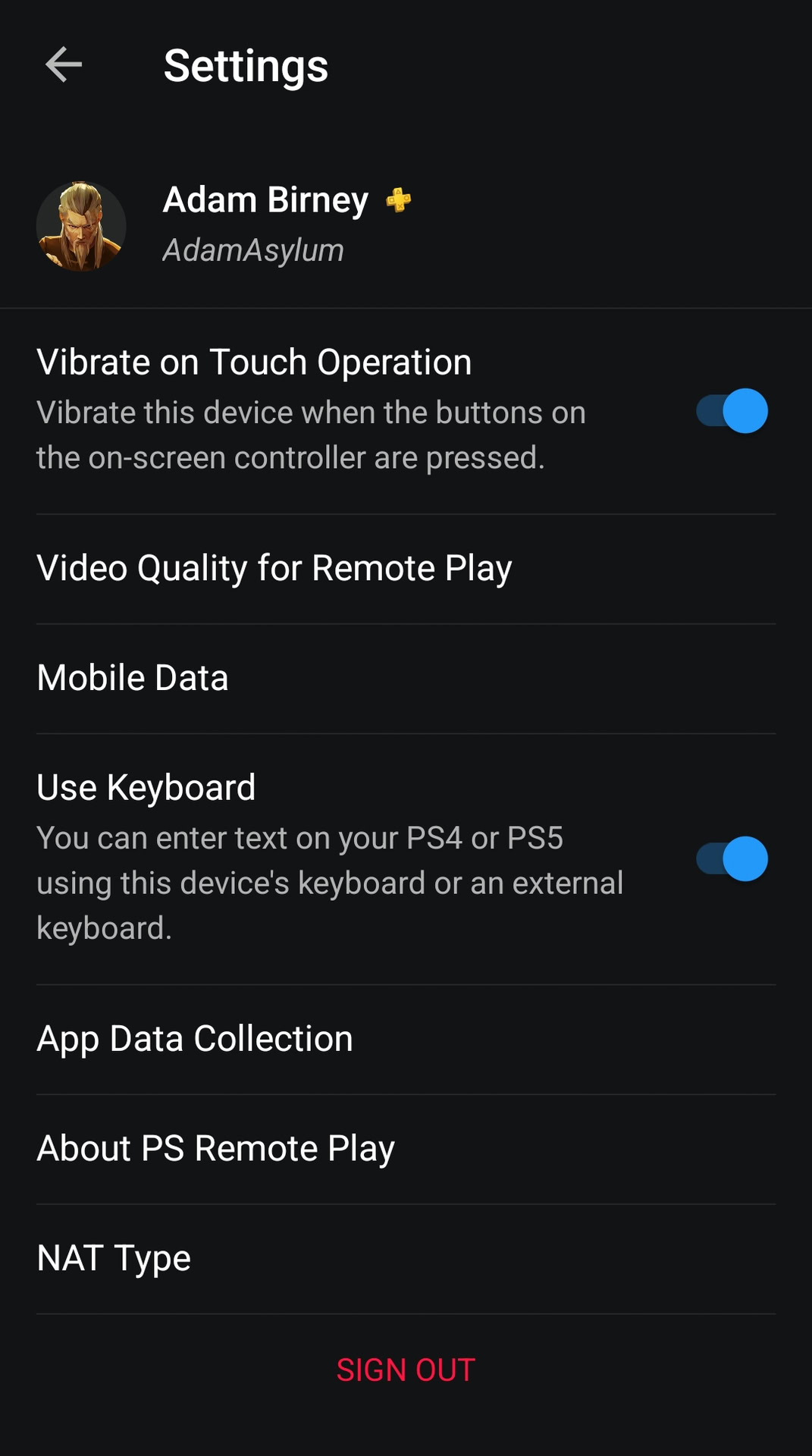 PS Remote Play settings