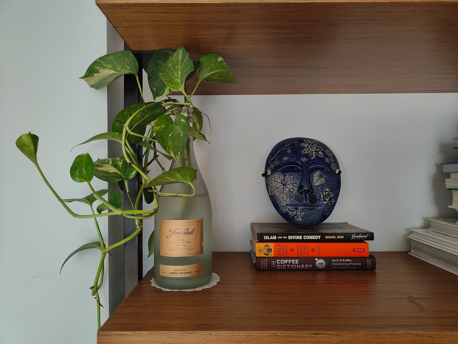 Realme GT2 Pro camera interior sample shot of a bottle with a plant in it and mask on a table